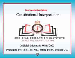 CONSTITUTIONAL INTERPRETATION